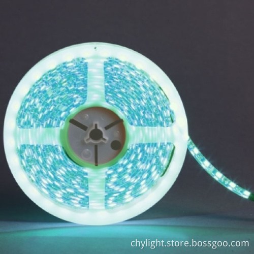 LED RGB Strip Lighting Charming Color Changing with Wireless Control